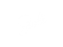 logo-banner-2